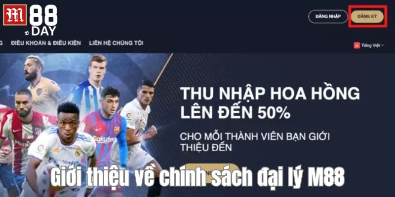 Tổng quan về chính sách đại lý M88 - thông tin được nhiều người chơi săn đón.