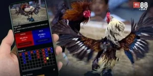 Cá Cược Đá Gà Thomo Online M88 Có Gì Đặc Sắc, Đáng Chơi?