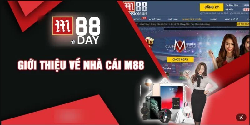 Cái tên M88 được cộng đồng bet thủ đánh giá rất cao về uy tín, tên tuổi.
