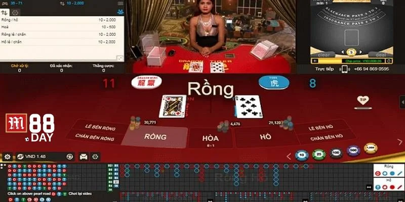 Các cửa cược trên bàn chơi Rồng Hổ M88 rất dễ để chọn.