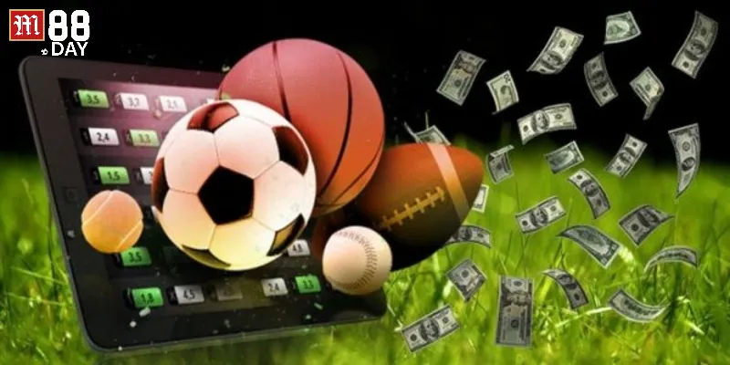 Tỷ lệ cược thể thao cung cấp cho các trận đấu cụ thể nào.