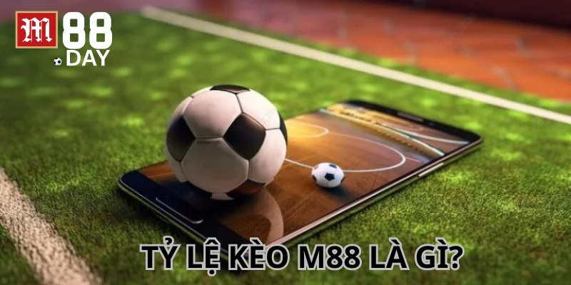 Tỷ lệ kèo là thông số nhà cái đưa ra để phản ánh kết quả trận đấu.