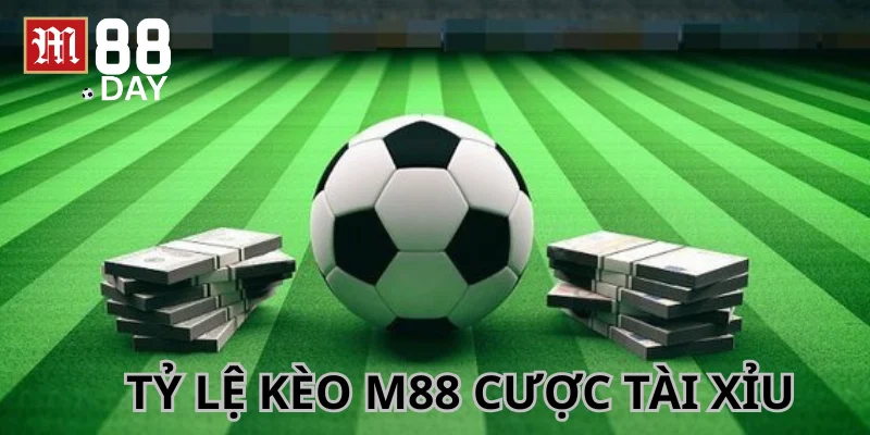 Tỷ lệ kèo Tài Xỉu xuất hiện phổ biến ở nhiều trận đấu.