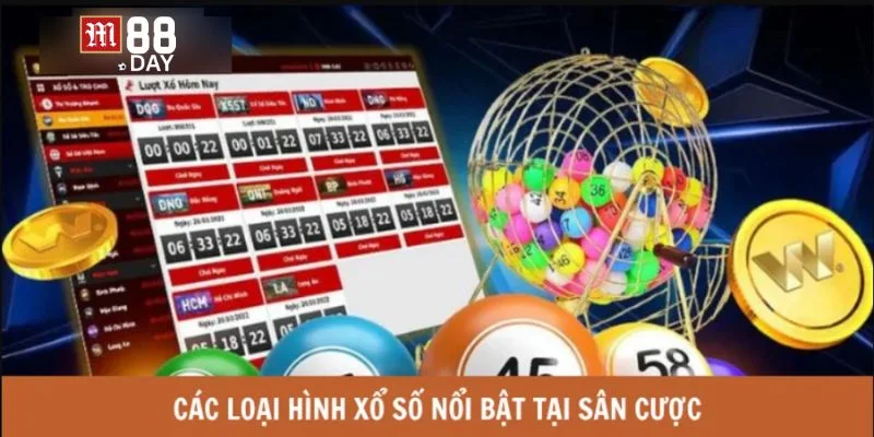 Có rất nhiều loại hình cược số tại TC.